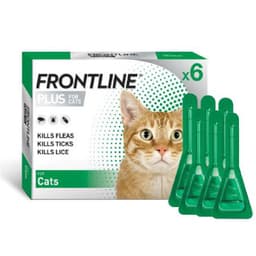 FRONTLINE